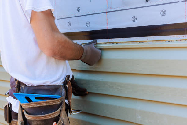 Affordable Vinyl Siding solutions in Zebulon, GA
